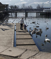 baby, back, bird, day, ducks, eye level view, lake, pier, Rapperswil, Sankt Gallen, standing, sunny, swan, Switzerland, winter, winter, woman