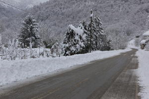 ambient light, day, diffuse, diffused light, eye level view, Italia , morning, natural light, overcast, pine, road, snow, tree, Veneto, winter