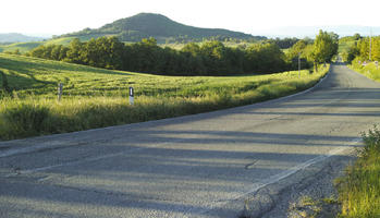 afternoon, crop, day, eye level view, field, Italia , road, Siena, spring, sunny, Toscana, treeline