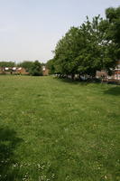 bright, broad-leaf tree, broad-leaved tree, day, direct sunlight, England, eye level view, grass, London, park, summer, sunny, The United Kingdom, treeline