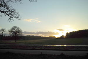 dusk, England, eye level view, grass, London, park, silhouette, sunny, The United Kingdom, tree