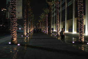 artificial lighting, Dubai, Dubayy, eye level view, man, night, outdoor lighting, palm, pavement, The United Arab Emirates, tree lights, walking