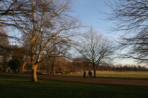 bright, dusk, England, eye level view, grass, Oxford, park, The United Kingdom, tree, vegetation, winter