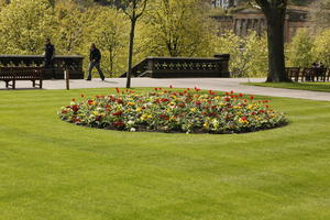 afternoon, day, Edinburgh, eye level view, flower, garden, grass, natural light, park, Scotland, spring, The United Kingdom