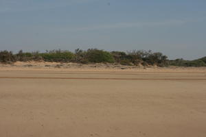 autumn, beach, bush, day, direct sunlight, Essaouira, eye level view, Morocco, natural light, sunlight, sunshine, vegetation