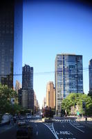 building, day, elevated, facade, Manhattan, New York, skyscraper, street, sunny, The United States, tree, vegetation