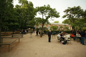 bench, bush, chair, crowd, day, eye level view, France, group, Ile-De-France, man, object, old, Paris, park, people, sitting, spring, tree, vegetation