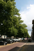 broad-leaf tree, broad-leaved tree, car park, day, eye level view, street, summer, sunny, The Netherlands, treeline, Utrecht, Utrecht