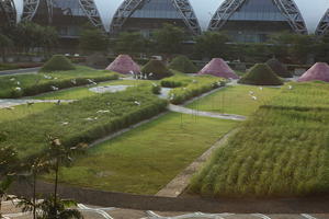 Bangkok, building, day, elevated, garden, grass, Krung Thep Mahanakhon, sunny, Thailand