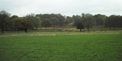 afternoon, autumn, cloudy, day, England, eye level view, grass, lawn, open space, outdoors, park, The United Kingdom, treeline, vegetation, Wimbledon