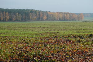 Poland, Wielkopolskie