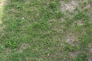 above, Croatia, day, grass, Istarska, lawn, natural light, Pula