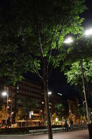 artificial lighting, Bilbao, eye level view, night, Pais Vasco, Spain, vegetation