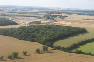 aerial view, afternoon, day, field, Islas Baleares, Palma de Mallorca, Spain, woodland