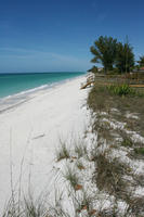 beach, bridge, day, eye level view, Florida, grass, Sarasota, seascape, sunny, sunshine, The United States, vegetation, winter