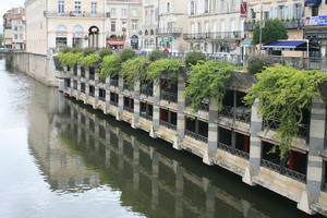 bush, canal, Castres, day, eye level view, France, hanging, Midi-Pyrenees, natural light, parking, shrub, summer