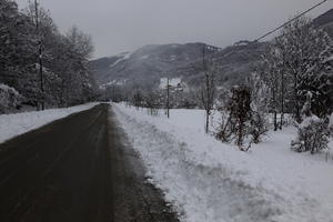 ambient light, day, diffuse, diffused light, eye level view, Italia , morning, mountain, natural light, overcast, road, snow, tree, Veneto, winter