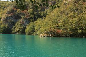 Croatia, day, eye level view, forest, Karlovacka, lake, sunny, tree, vegetation