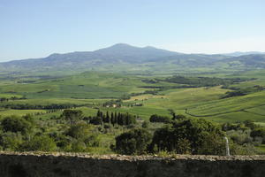 cypress, day, elevated, evergreen, greenery, Italia , Siena, spring, sunny, Toscana, tree, valley