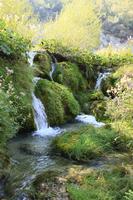 Croatia, day, eye level view, Karlovacka, sunny, tree, vegetation, waterfall