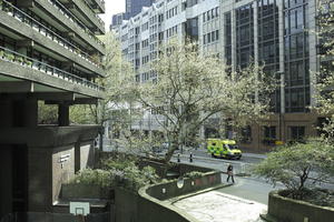 day, elevated, England, London, street, sunny, The United Kingdom, tree