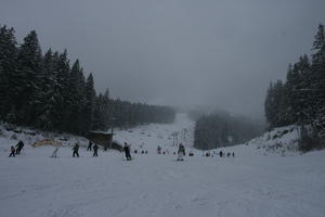 Bulgaria, day, eye level view, group, mountain, overcast, people, pine, skiing, slope, snow, tree, winter