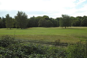 autumn, bright, day, England, eye level view, field, grass, London, park, The United Kingdom, vegetation