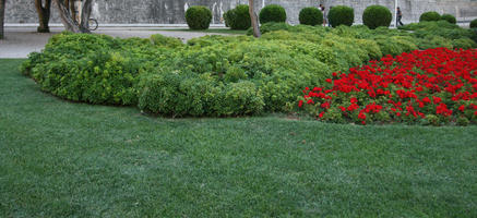 ambient light, Croatia, day, diffuse, diffused light, eye level view, garden, park, plant, summer, vegetation, Zadar, Zadarska