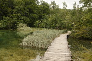 bridge, Croatia, day, diffuse, diffused light, eye level view, Karlovacka, lake, natural light, path, reed, summer, woodland