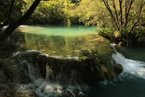 Croatia, day, eye level view, Karlovacka, lake, sunny, tree, vegetation, waterfall