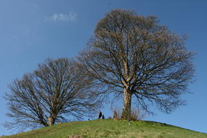 below, day, England, grass, hill, Oxford, sunny, The United Kingdom, tree, vegetation, winter