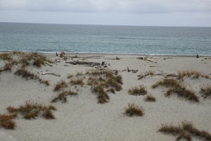 beach, day, diffuse, diffused light, eye level view, grass, natural light, New Zealand, overcast, plant, sand dune, summer, West Coast