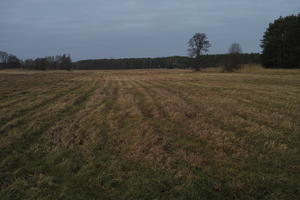 ambient light, countryside, day, eye level view, field, grass, open space, overcast, Poland, Wielkopolskie, winter, Wolsztyn