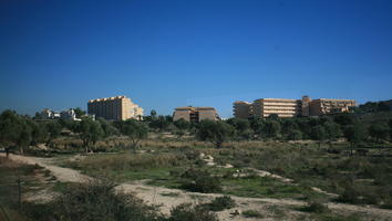 Calpe, day, eye level view, grass, greenery, shrubland, Spain, sunny, tree, Valenciana