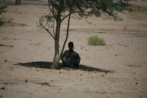 child, day, desert, donkey, East Timor, Egypt, Egypt, eye level view, middleastern, natural light, sitting, sunny