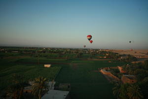 balloon, dusk, East Timor, Egypt, Egypt, elevated, palm, vegetation