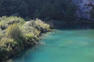 bush, Croatia, day, elevated, Karlovacka, lake, tree, vegetation