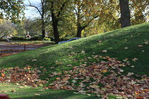 afternoon, autumn, Battersea park, day, England, eye level view, grass, leaf, London, park, sunny, The United Kingdom, tree