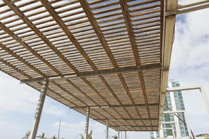 Canarias, canopy, day, eye level view, looking up, Spain, summer, sunny