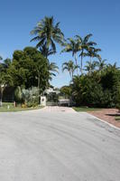 day, evergreen, eye level view, Florida, Miami, palm, shrubbery, street, summer, sunny, The United States