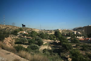 Calpe, day, elevated, greenery, shrubland, Spain, sunny, tree, Valenciana