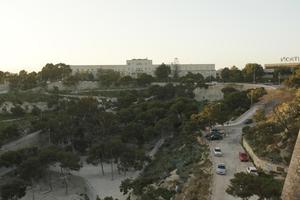 Alicante, dusk, elevated, park, Spain, tree, Valenciana, vegetation