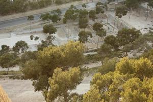 Alicante, dusk, elevated, park, Spain, tree, Valenciana, vegetation