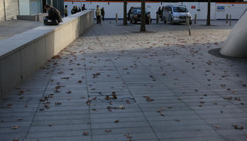 afternoon, autumn, day, England, eye level view, leaf, London, pavement, The United Kingdom