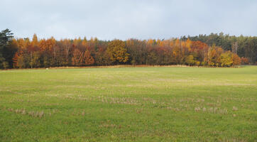 Poland, Wielkopolskie