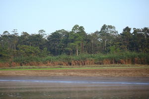 afternoon, Brunei, day, diffuse, diffused light, eye level view, forest, natural light, river, summer, treeline, tropical