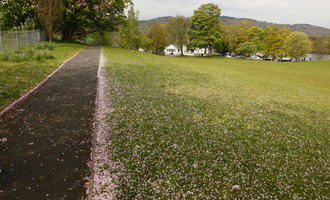 blossom, day, downhill, eye level view, grass, lawn, noon, park, path, Scotland, spring, sunlight, sunny, The United Kingdom, walkway