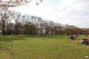 day, deciduous, England, eye level view, grass, group, London, mother and child, park, people, spring, sunny, The United Kingdom, tree