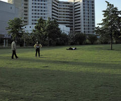 afternoon, England, eye level view, grass, greenery, London, open space, outdoors, park, shady, The United Kingdom