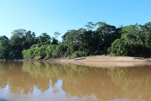 day, eye level view, Madre de Dios, Peru, river, shrub, summer, sunny, treeline, tropical